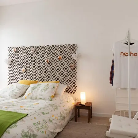 Nesha Flats Apartment